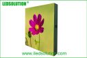 Indoor P6 LED Display