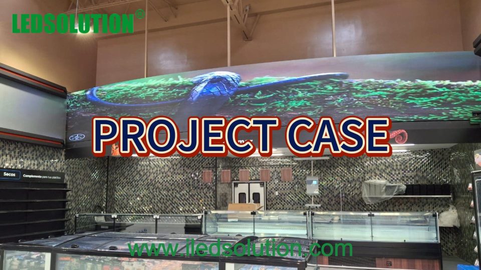Convex LED Display Project Case Convex LED Display Project Case